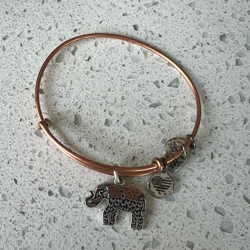 Alex and Ani bangle
